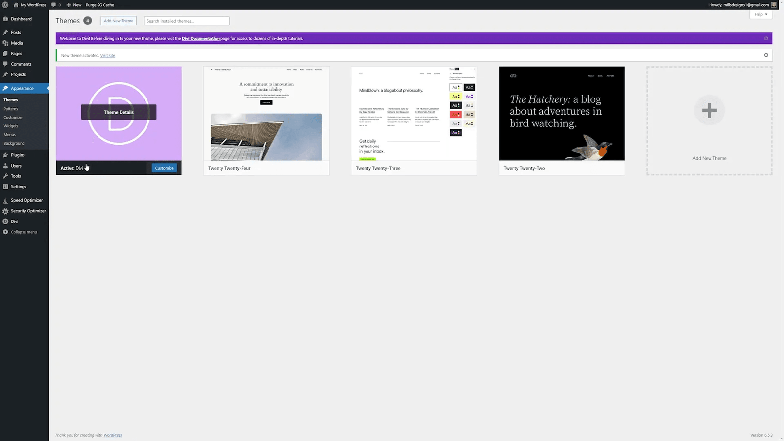 Activare Divi în WordPress