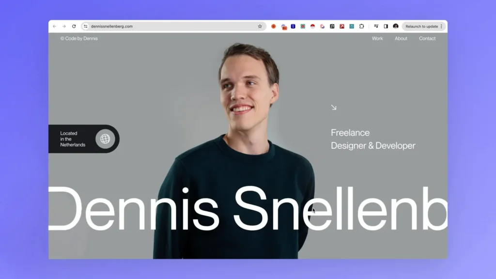 portofoliu web design