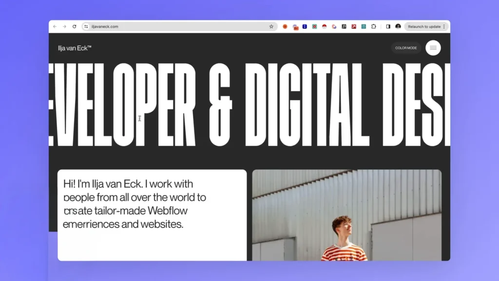 portofoliu web design