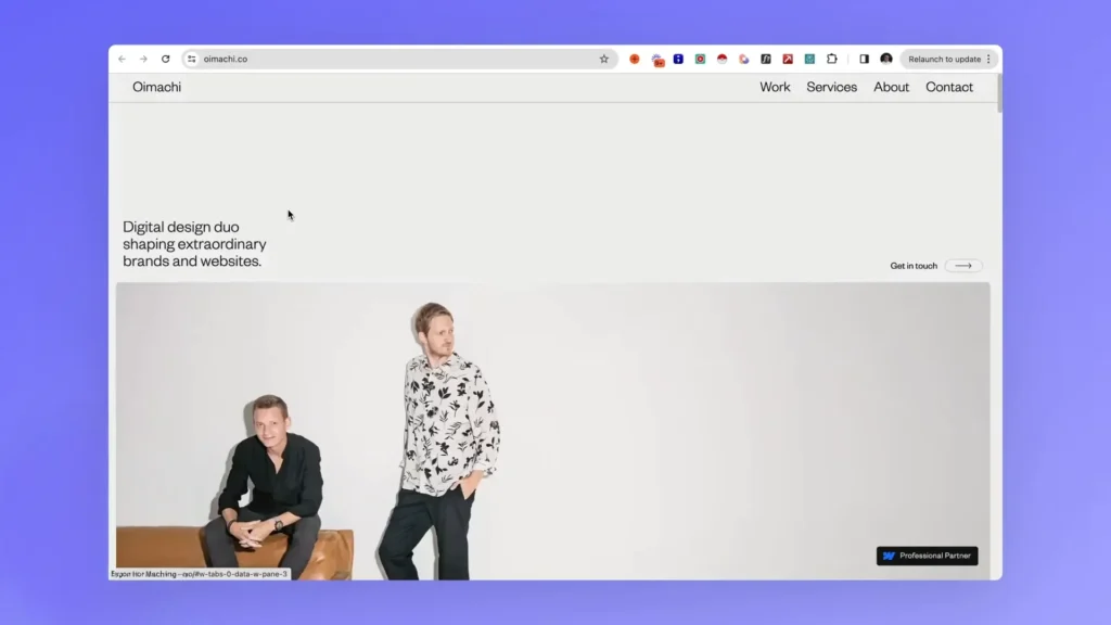 portofoliu web design