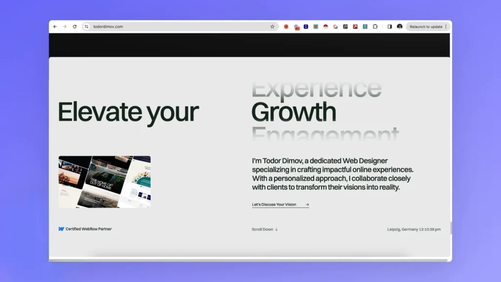 portofoliu web design